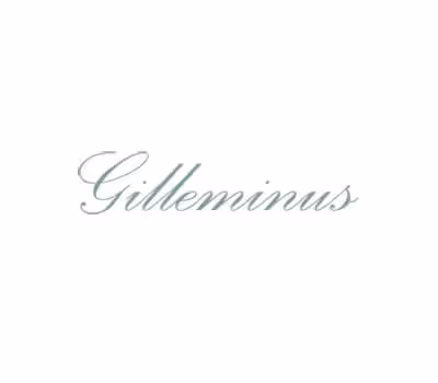 Website De Gilleminus